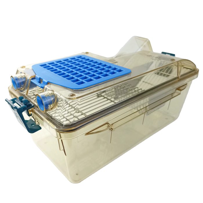 Мышиная группа Lab EVC cage для мышей
